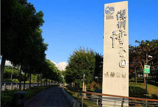 奧特迅望海路充電站位于深圳灣公園-運(yùn)動公園對面.jpg